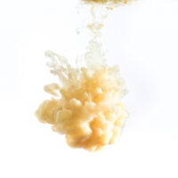 Smoked Butter Scotch