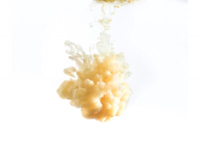 Smoked Butter Scotch