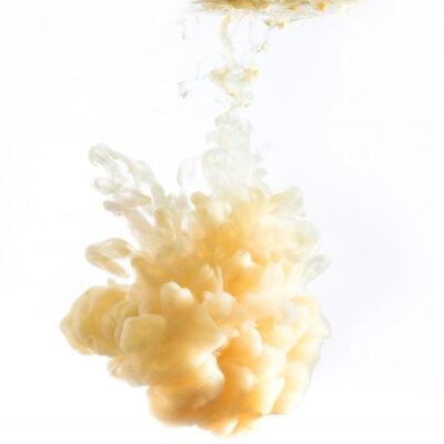 Smoked Butter Scotch