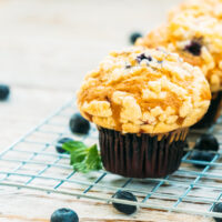 Sun-Dappled Blueberry Muffin