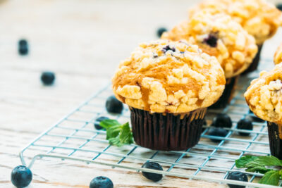 Sun-Dappled Blueberry Muffin