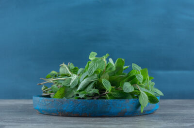 Sacred Basil