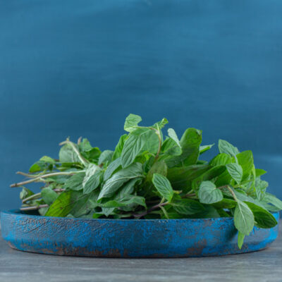 Sacred Basil