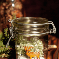 Alpine Pine
