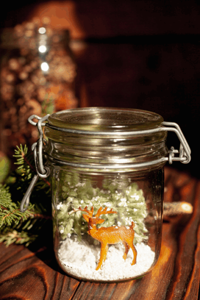 Alpine Pine