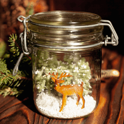 Alpine Pine