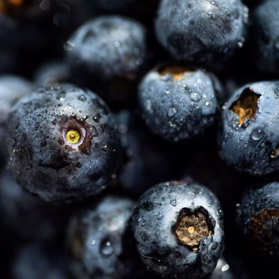 Brilliant Blackcurrant