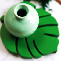 Herba;
