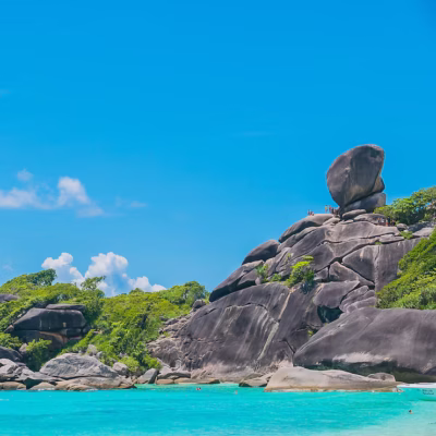 Island Tropical Dreams