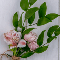 Lovely Laurel