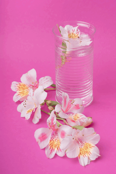 Peach Blossom Nectar
