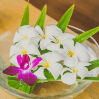 Tahitian Monoi