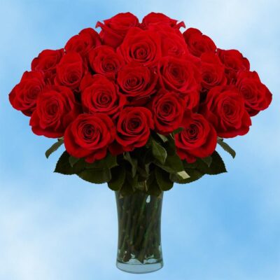 Fresh Cut Rose