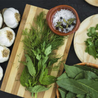 Herbal & Green